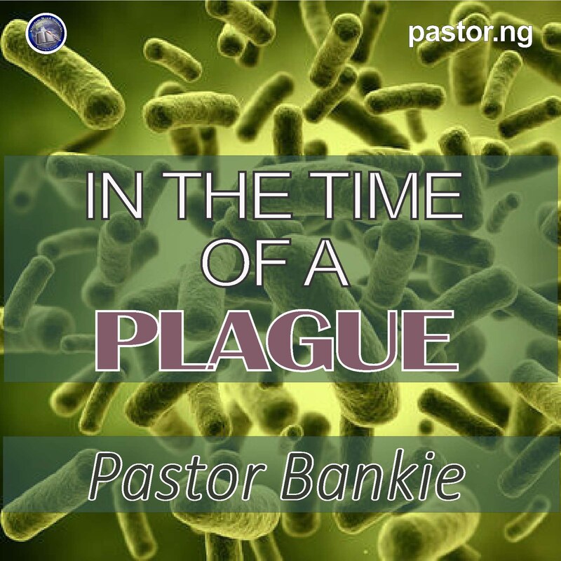 IN THE TIME OF A PLAGUE