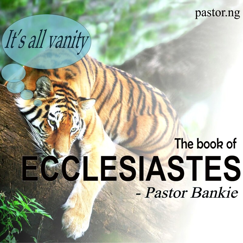 2. Understanding vanity (Eccl 1:3 - 2:26)
