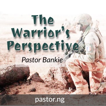 THE WARRIOR'S PERSPECTIVE