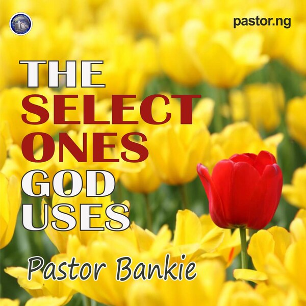 THE SELECT ONES GOD USES