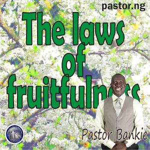 Christ-centred preaching