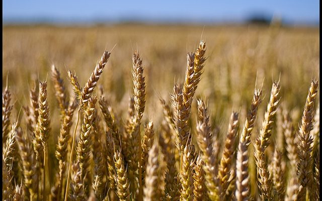 THE TITHING ISSUE; Away With The Contention